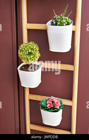 Blumen in Töpfe in Holztreppe auf einem braunen Wand Stockfoto