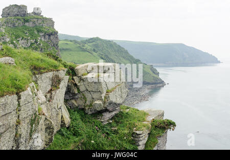 Die lynton Ziege-herde, das Tal der Felsen in der nähe von Lynton in North Devon. Verwilderte Ziegen durchstreifen über den Bereich als das Tal der Felsen bekannt. Stockfoto