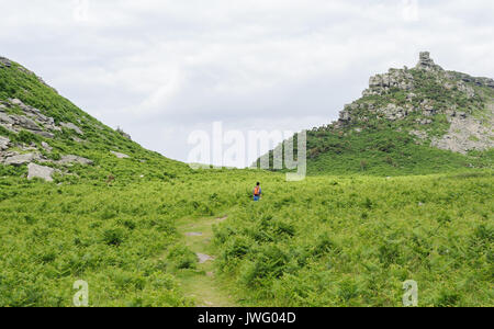 Die lynton Ziege-herde, das Tal der Felsen in der nähe von Lynton in North Devon. Verwilderte Ziegen durchstreifen über den Bereich als das Tal der Felsen bekannt. Stockfoto