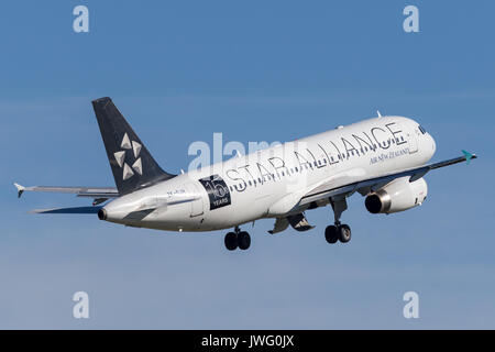 Air New Zealand Airbus A320 weg vom Flughafen Sydney. Stockfoto