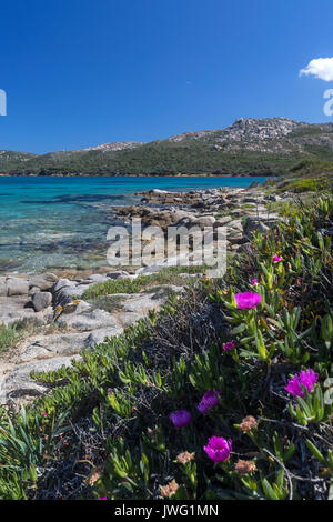 Küste von Baja Sardinia in der Nähe von Palau an der Nordostküste der Insel Sardinien - Italien Stockfoto