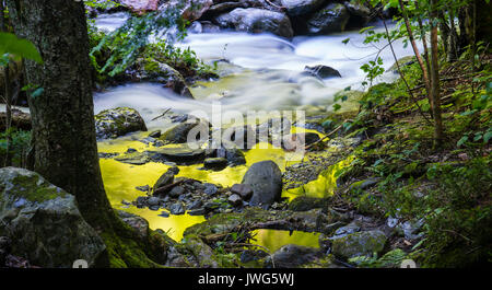 Bunte Szene von einem Bach in der Nähe von einem Wanderweg und Moos Glenn fällt auf Rt. 100 in Granville, VT. Stockfoto