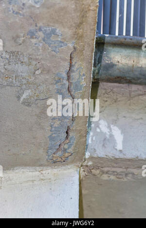 Kleine Risse im Putz an der Außenwand durch einen Baum verursacht biegen. Stockfoto