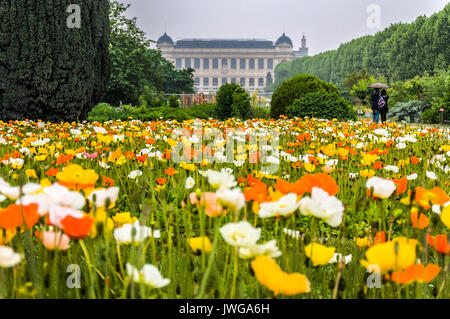 Jardin des Plantes, Paris, Frankreich Stockfoto