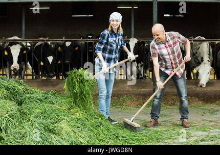 Happy farm Mitarbeiter mit mistgabeln in der Scheune arbeiten Stockfoto