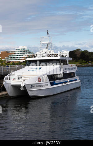 Katamaran Whale Watching Boot von Orca Geist Abenteuer vertäut am Steg in Victoria Inner Harbour Vancouver Island British Columbia Kanada Stockfoto