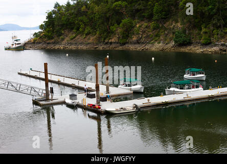 Kleine Passagier Tour Boote mit grünen Markisen auf Wasser bei Butchart Cove mit angelegten Luxusyacht Butchart Gardens Vancouver Island BC Kanada Stockfoto