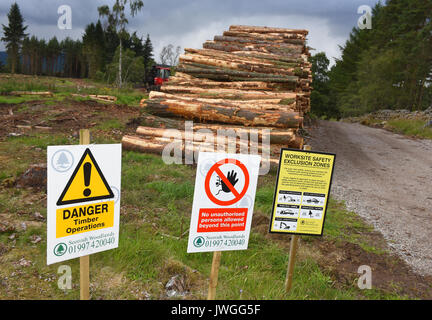 Vor kurzem Holz gestapelt bereit und wartet auf die Sammlung für die Verarbeitung zu treffenden gefällt. Stockfoto