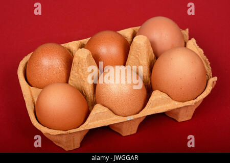 Sechs frische braune Eier in einem braunen Karton gegen einen roten Hintergrund. Stockfoto