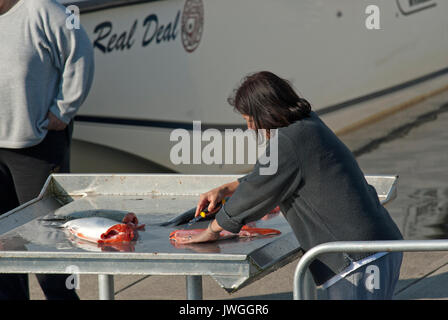 Frau Schneid chinook Lachse in den Hafen von Prince Rupert, British Columbia, Kanada Stockfoto