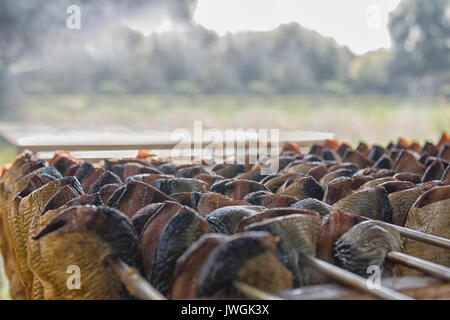 Hering hängend auf Spieße mit Rauch Stockfoto