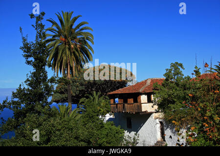 Alten Drachenbaum, Icod de los Vinos, Teneriffa, Kanarische Inseln, Spanien Stockfoto