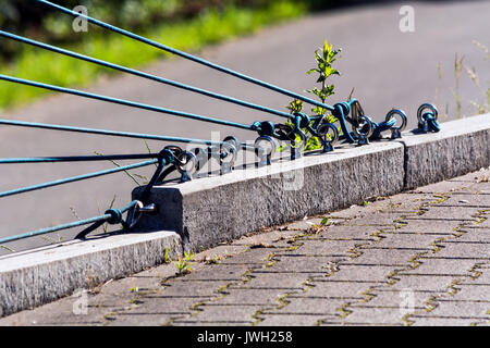 Befestigung von verschiedenen Gummi Kabel im Beton verankert. Stockfoto