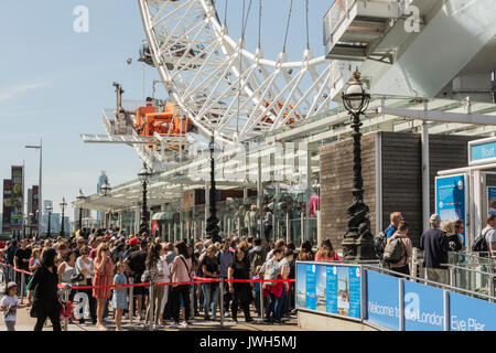 Das London Eye - Riesenrad am Südufer der Themse in London, Großbritannien Stockfoto