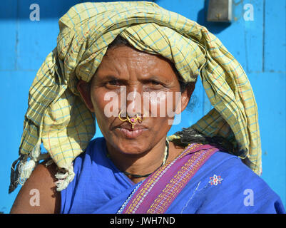 Indische Adivasi-Marktfrau mit zwei goldenen Nasenringen und Nasen-Schmuck posiert für die Kamera. Stockfoto