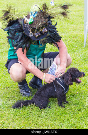 Burley, Hampshire, UK. 12 Aug, 2017. New Forest Fairy Festival. Massen von Feen und Elfen, mit Feenstaub besprüht, auf Burley für das Wochenende steigen für eine magische zauberhafte Festival im New Forest. Credit: Carolyn Jenkins/Alamy leben Nachrichten Stockfoto