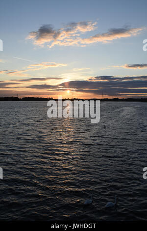 Schönen Sommer Sonnenuntergang über chasewater Country Park in Staffordshire das Ende eines warmen sonnigen Tag markiert. Dies war besonders willkommen, da der Sommer 2017 hatte bislang weitgehend naß gewesen und mild. Stockfoto