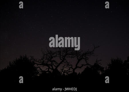 Worksop, Nottinghamshire, Großbritannien. Samstag 12. August 2017. Die perseid meteor Dusche wie in den Stern gesehen Himmel über Worksop, Nottinghamshire, Großbritannien. Credit: James Wilson/Alamy leben Nachrichten Stockfoto