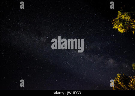 Fowey, Cornwall, UK. 12. August 2017. UK Wetter. Es war eine klare Nacht über die meisten Cornwall für die perseid meteor Dusche am Samstag Nacht, hier von den Fotografen zurück Garten im Mousehole vor Mitternacht. Foto: Simon Maycock/Alamy leben Nachrichten Stockfoto