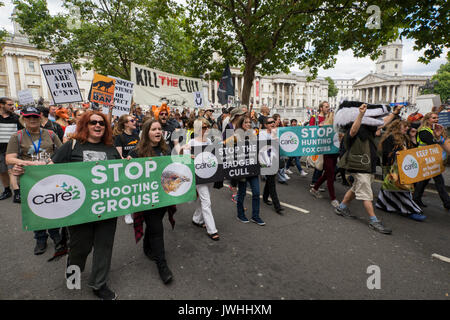 London, UK, 12. August 2017. Machen Badger Culling, Fuchs Jagd & Driven Moorhuhn schießen Geschichte. Tausende marschierten durch die Londoner Downing Street in einem friedlichen Protest Tierquälerei zu stoppen. Im März wurde abgehalten mit dem Start der Moorhuhn schießen Saison übereinstimmen, ist der Beginn der fünften Jahr des Dachses Keulungen, und die anhaltende illegale Tötung von Fox Cubs. Vorbei an den Trafalgar Square. Quelle: Steve Bell/Alamy leben Nachrichten Stockfoto