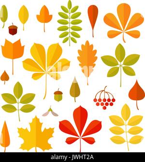 Herbst Blatt auf weißem Hintergrund. Stock Vektor