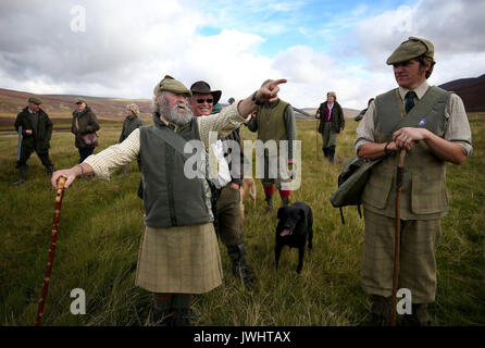 Kopf Wildhüter Graeme MacDonald (links) führt ein shooting Party auf der Heide am Alvie Immobilien in der Nähe von Aviemore auf die glorreiche Zwölfte, den Start der Moorhuhn schießen Saison. Stockfoto