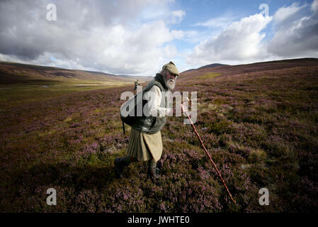 Kopf Wildhüter Graeme MacDonald führt ein shooting Party auf der Heide am Alvie Immobilien in der Nähe von Aviemore auf die glorreiche Zwölfte, den Start der Moorhuhn schießen Saison. Stockfoto