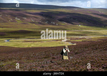 Kopf Wildhüter Graeme MacDonald führt ein shooting Party auf der Heide am Alvie Immobilien in der Nähe von Aviemore auf die glorreiche Zwölfte, den Start der Moorhuhn schießen Saison. Stockfoto