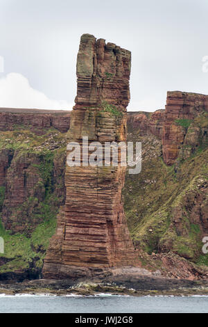 Alter Mann von Hoy, einem berühmten seastack in der Orkney Inseln, Schottland bei Ebbe Stockfoto