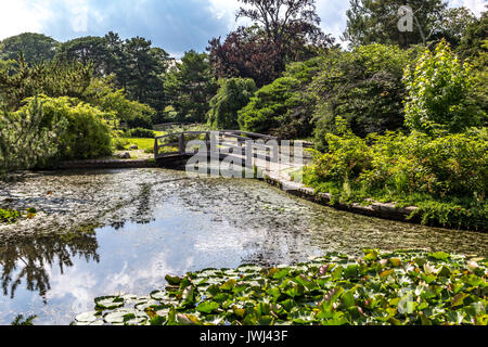 Japanischer Garten mit Bäumen, einem Teich und Brücke Stockfoto