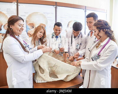 Studenten der Witebsker staatlichen medizinischen Universität der Freundschaft der Völker Studieren im Klassenzimmer. Sie werden lachen, reden untereinander, posin Stockfoto