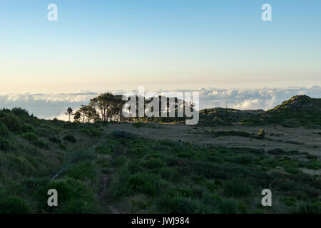 Meer von Wolken Stockfoto