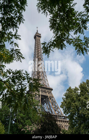 Der Eiffelturm zwischen den Bäumen Stockfoto