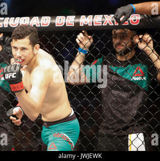 Martin bravo nimmt Humberto bardenay während der Ufc Fight Night 114 Mexico City, Mexiko Stockfoto