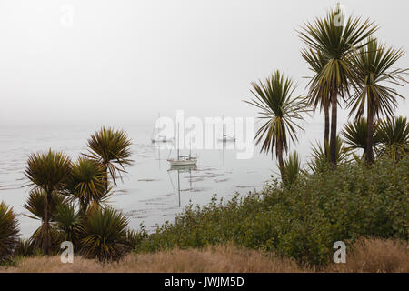 Karkasse Insel im Nebel Stockfoto
