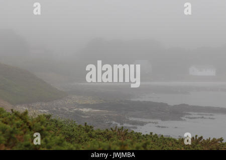 Karkasse Insel im Nebel Stockfoto