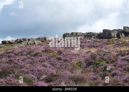 Wandern entlang der oberen Kante Froggatt, Peak District National Park, England Stockfoto