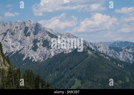 Wald bedeckte Berge im südlichen Österreich Stockfoto