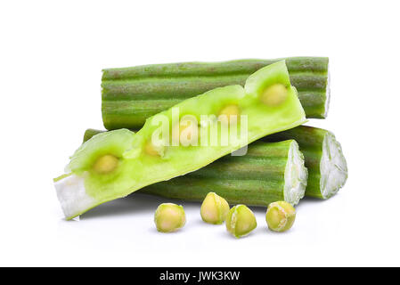 Frische Moringa (Drumstick tree) auf einem weißen Hintergrund. Stockfoto