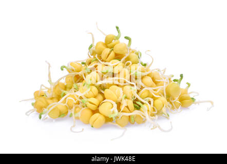 Snow pea Sprößlinge auf weißem Hintergrund Stockfoto