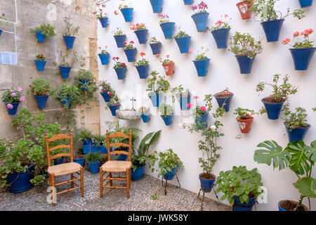 Die Patios kommen in Ihre eigenen während des Festivals der Innenhöfe, wenn alle Eigentümer die Teilnahme an dem Wettbewerb in Cordoba, Andalusien, Spanien Stockfoto