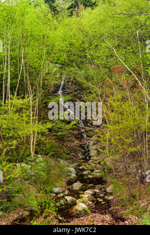 Kleine namenlose Wasserfall entlang der Route 16 im Frühjahr, Coos Co., Pinkham Kerbe, White Mountain National Forest, NH Stockfoto