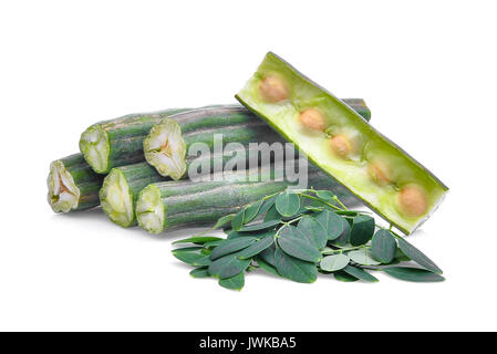 Pod von moringa (drumstick Tree) mit Blättern auf weißem Hintergrund Stockfoto