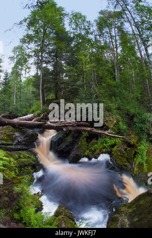 Wasserfall im Dschungel Stockfoto