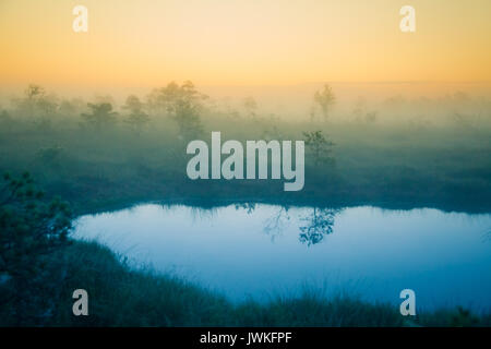 Eine verträumte Landschaft Sumpf vor dem Sonnenaufgang. Bunte, Misty. Marsh Landschaft mit See. Schönen künstlerischen Stil Foto. Stockfoto