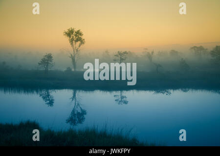 Eine verträumte Landschaft Sumpf vor dem Sonnenaufgang. Bunte, Misty. Marsh Landschaft mit See. Schönen künstlerischen Stil Foto. Stockfoto