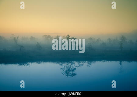 Eine verträumte Landschaft Sumpf vor dem Sonnenaufgang. Bunte, Misty. Marsh Landschaft mit See. Schönen künstlerischen Stil Foto. Stockfoto