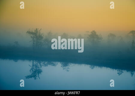 Eine verträumte Landschaft Sumpf vor dem Sonnenaufgang. Bunte, Misty. Marsh Landschaft mit See. Schönen künstlerischen Stil Foto. Stockfoto