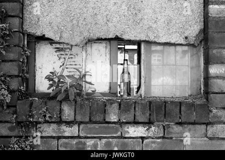 Verfallene Gebäude, verlassen, kaputtes Fenster, Glasflasche im Fenster, Unkraut wächst in der Ziegelwand, vertaufte Fenster, heruntergekommen, Trinken links Abfall Stockfoto