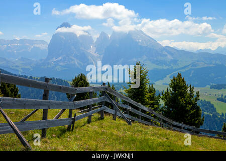 Seiser Alm, Dolomiten, Italien Stockfoto